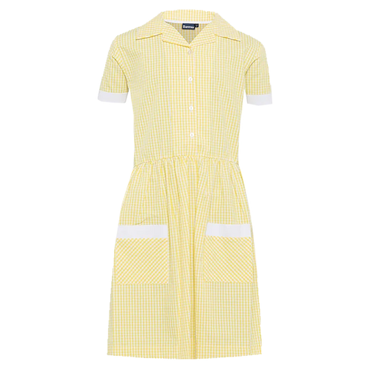 Ayr Summer Dress in Yellow & White