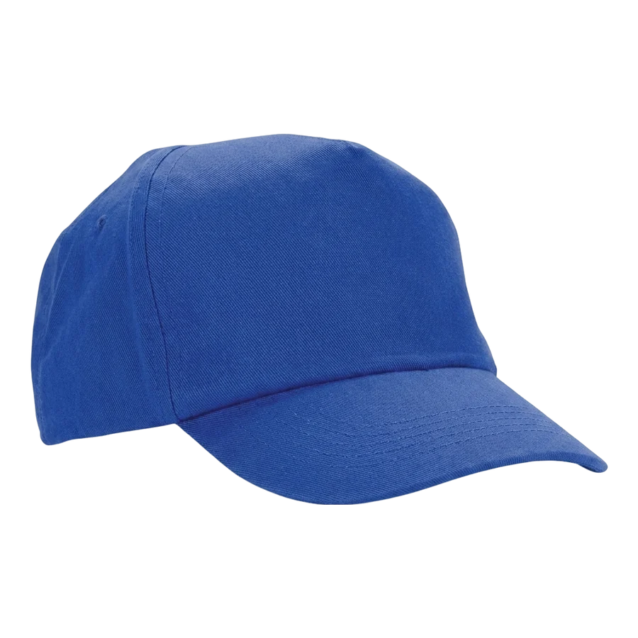 WT Baseball Cap