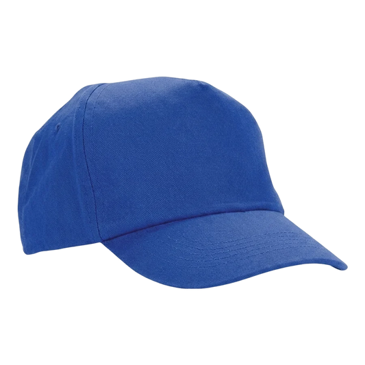 WT Baseball Cap