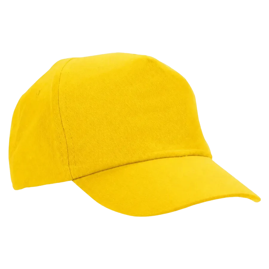 WT Baseball Cap